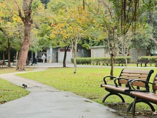 V Banskej Bystrici začína výrub 149 stromov v mestskom parku, park bude dočasne uzavretý