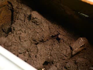 Banskobystričania si rozebrali 169 ton bezplatného kompostu – záujem rekordný, nový systém zabránil radom