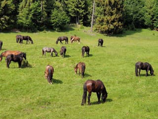 TENTO národný park pripravuje nové ENVIROCENTRUM: Kedy začnú práce?