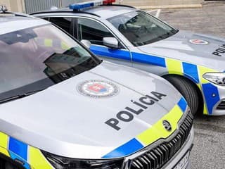 Polícia v Lučenci zadržala dvojicu zlodejov pri vlámaní do bývalej čističky – nebol to ich prvý čin