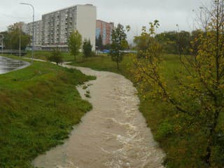 Povodie Hrona odstraňovalo nánosy vo vodných tokoch v Detve