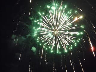 Silvester v Bratislave: Pyrotechnika v okolí zoo spôsobuje zvieratám stres aj vážne zranenia