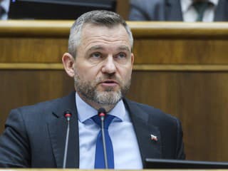 V prezidentovej správe chýbala aspoň mierna kritika koaličnej krízy, tvrdí politologička Világi