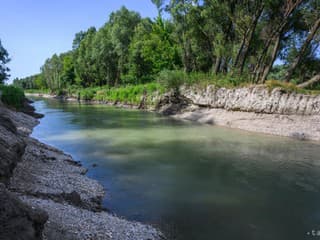 Veľký úspech ochranárov: Dunajské rameno Malé Foki v Bratislave po rokoch opäť plné života