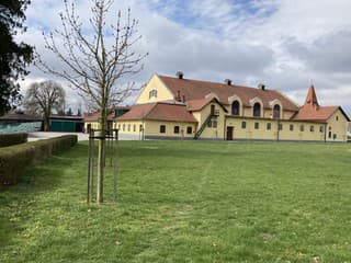 Národný žrebčín Topoľčianky otvorí svoje brány verejnosti už počas Veľkej noci