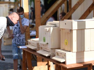 V Nitre budú Včelárske slávnosti: Medové trhy, ochutnávky a jazda vláčikom už túto sobotu