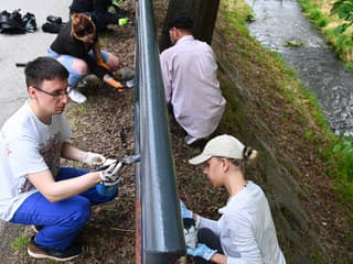 Levický amfiteáter desiatky dobrovoľníkov zachraňujú pred zánikom: Cieľom je návrat kultúry a oddychu