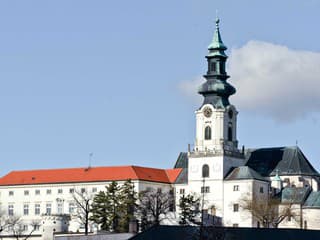 V Nitre k násilným trestným činom dochádzalo vlani najviac v centre mesta