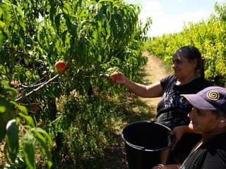 Nové Zámky vysadili nový ovocný sad: Tradičné stromy, park pre komunitu aj školy