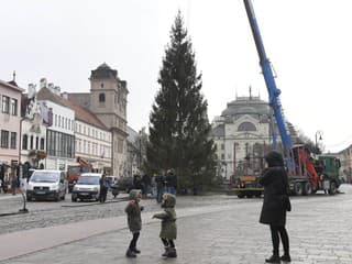 Komárno začne zber vianočných stromčekov už 7. januára – kam ich môžete odniesť a čo s nimi bude