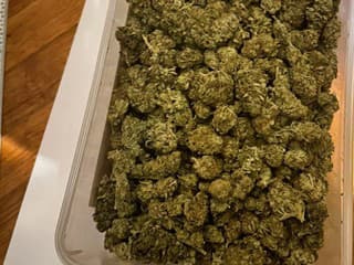 Polícia v Humennom obvinila mladého muža: Pri domovej prehliadke objavili väčšie množstvo marihuany