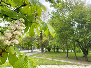 Veľký Slavkov mení centrum: Vyrastie nový park s ihriskom, javiskom aj zeleňou
