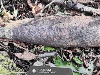 Polícia zasahovala v Prešovskom kraji: V lesoch objavili tri nebezpečné granáty z vojny