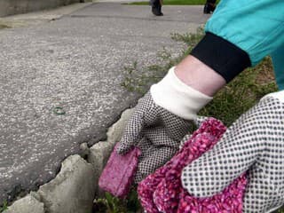 V Prešove začali s plošnou deratizáciou: Rodičia a majitelia psov, buďte obozretní!