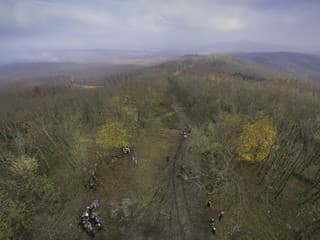 Prvý výskyt potáplice malej vo Východných Karpatoch: Zachráneného vtáka vypustili pri Medzilaborciach