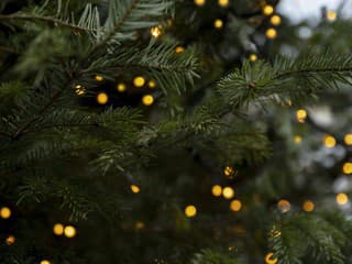 Vianočný autobus v Trenčíne: Od piatku vyrazí na linky, cestujúcich čakajú prekvapenia