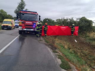 BRUTÁLNA NEHODA Strom vytrhlo, auto na streche: Hlásia TRAGICKÉ následky! FOTO Zo SVEDECTVA mrazí