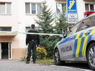 ŠOKUJÚCI NÁLEZ V byte našli mŕtve telo! Z TOHO, čo uvideli policajti, behá mráz po chrbte