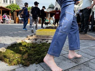 Lesnícke dni 2026 v Trenčíne: Jubilejný ročník prinesie zážitky pre deti aj dospelých