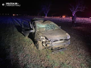 AKTUÁLNE TRAGÉDIA NA CESTE Havarovalo auto plné mladých ľudí: Vyslali záchranárov, prišla najhoršia správa! FOTO