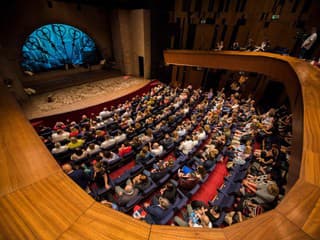 Mestské divadlo Žilina uvedie premiéru inscenácie Vizičlovek (vodný ember)