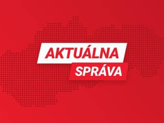 Aktuálne Prvý útok medveďa v tomto roku: Človek je ranený, medvedicu zabili