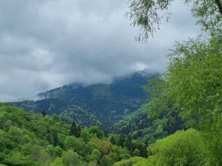 Vrátnu dolinu v lete denne navštívilo viac ako 3000 turistov, najviac cez víkendy