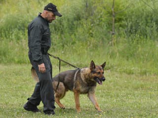 Mestskí policajti majú prvého služobného psa