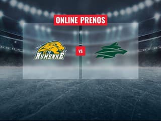 HC 19 Humenné – Vlci Žilina: Online prenos z finále JOJ Šport Slovenského pohára