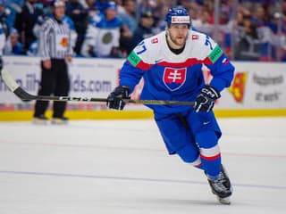 Záver zdvíhal fanúšikov zo sedadiel: Slováci po zlepšenom výkone vzdorovali Helvétom