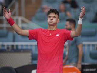 VIDEO Požičal si trik od Djokoviča: Český tenista podráždil francúzskych divákov nečakaným gestom