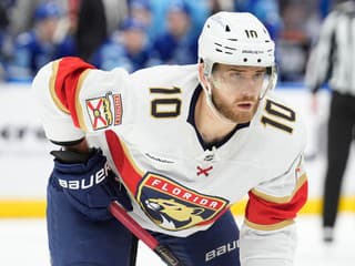 VIDEO To myslia vážne? Šialený zákrok hráča Floridy ocenila NHL smiešnym trestom