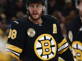 Fantastická forma pred blížiacimi sa ZOH: Hviezdna opora Česka našla v NHL jediného premožiteľa