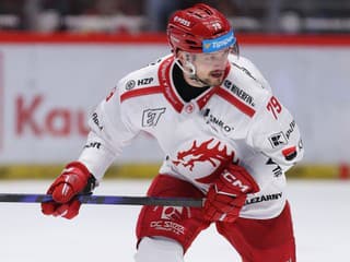 Třinec vykročil do boja o finále správnou nohou, Hudáček chváli spoluhráčov: Urobili skvelú robotu