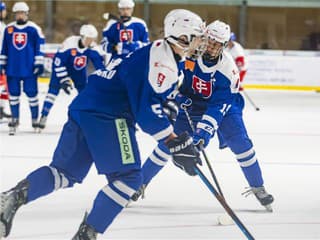 Ani na druhý pokus to nevyšlo: Šestnástka v prestížnom derby nestačila na domáce Česko