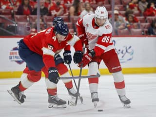 Po splnenom sne o NHL prišlo nečakané prekvapenie: Talentovaný reprezentant Česka zabojuje o MS