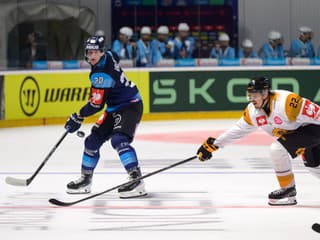 Návrat do Ligy majstrov nevyšiel: Švédsky majster uštedril Nitre poriadny debakel