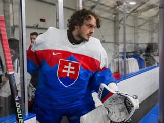 Žiadny odpočinok, rovno do akcie: Škorvánek vynuloval bezradné Vítkovice a vrátil sa k olympiáde