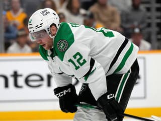 Zatiaľ si to dokáže iba predstavovať: Českému hokejistovi sa splnil krásny detský sen