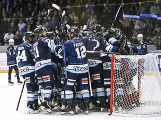 Pod Zoborom vybuchla prestupová bomba: Rady HK Nitra posilnil Švéd so skúsenosťami z NHL aj KHL