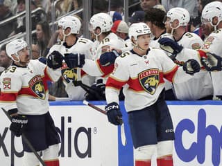 Skoro odtrhol hlavu spoluhráčovi Slafkovského: Hviezda Floridy dostala mastnú pokutu