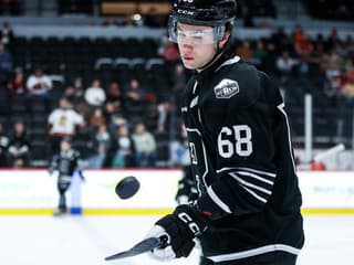 VIDEO Mišiak zabodoval proti Hlavajovi: V osemfinále USHL potiahli Slováci