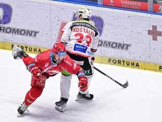 Prídu o desať percent mesačného platu: Herecké výkony českých hokejistov nezostali bez trestu