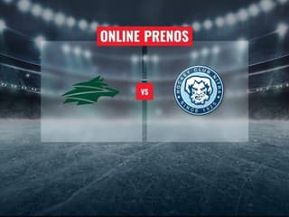 Vlci Žilina – HK Nitra: Online prenos z ťaháku 27. kola Tipsport ligy
