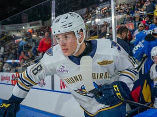 VIDEO V akcii viacerí Slováci: Pekarčík s krásnym gólom ala Marián Hossa, Kmec vymietol pavučinu