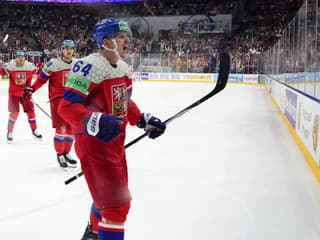 Český spoluhráč Fehérváryho netuší, kedy tribúnu vymení za ľad: Nie je jednoduché len tak pozerať