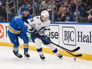 St. Louis s Dvorským ukončilo sériu Černáka, Regenda s veľa minútami: Majster s výpraskom