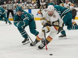 VIDEO Regenda sa iba pozeral: Česká hviezda v NHL zvalcovala San Jose hustou bodovou nádielkou