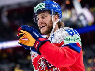 MS V HOKEJI 2025 Nádherný moment: Pastrňákova manželka s dcérkou si obliekli český a švédsky dres