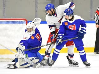 Facky dostávajú po celom turnaji: Slováci počítajú góly po debakli proti Česku